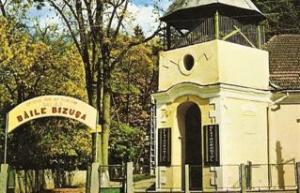 imagine-articol_25274