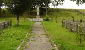 imagine-articol_25382