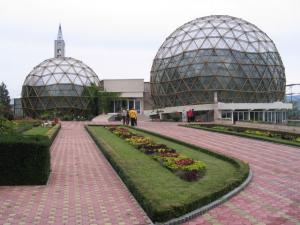 imagine-articol_25389