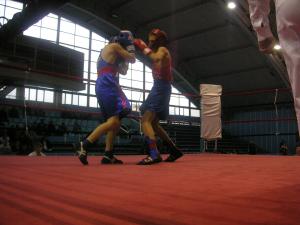 Pugilistii salajeni, la inaltime in Bihor