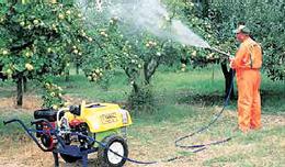 imagine-articol_25864