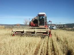 Agricultura, inaintea salariior si pensiilor