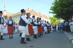 Salajenii fac spectacol din Ziua Nationala