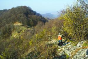 imagine-articol_26370