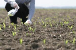 imagine-articol_27362