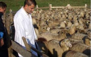 imagine-articol_27363