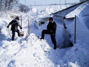 Apel umanitar lansat de Prefectura Salaj!