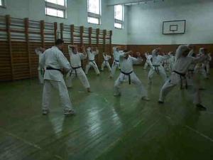 Stagiu de karate al A.N.A.K