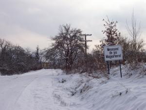 imagine-articol_27749