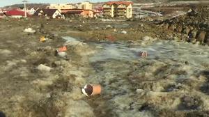 imagine-articol_27751