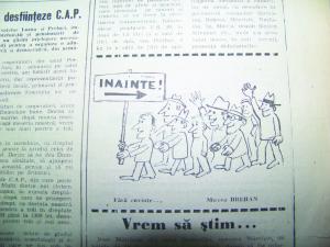 imagine-articol_27753