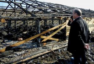 Peste 500 de ovine au pierit intr-un incendiu la Criseni