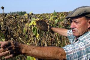 Un deceniu in slujba agriculturii