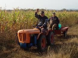 Fermierii inregistraţi ca PFA nu trebuie să plătească impozit pe veniturile din agricultură