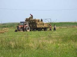 Imprumuturi pentru agricultori