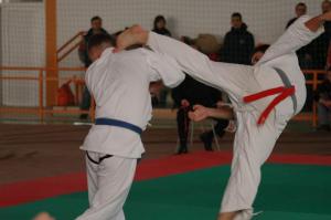 Karate kyokushin: Campionatul National – Targu Mures