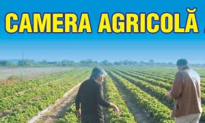 Incepe iar povestea Camerelor Agricole