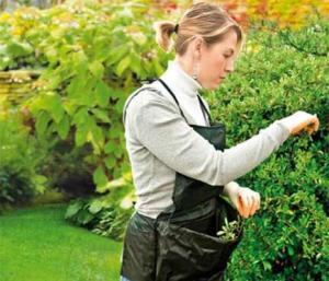 Producatorii de plante medicinale si stuparii sunt obligati sa se inregistreze