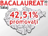 REZULTATELE LA BACALAUREAT SALAJ 2012