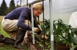 In agricultura romaneasca lipsesc tinerii fermieri