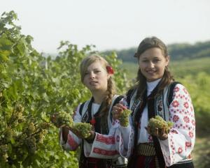 Tratamente naturiste cu struguri