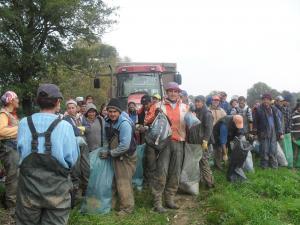 Verifica-ti angajatorul daca alegi sa muncesti in strainatate