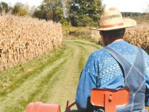 Agricultorii vor despagubiri adevarate