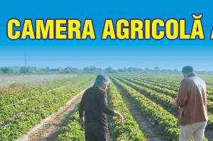 S-a prelungit termenul de depunere a candidaturii pentru Camera Agricola Judeteana