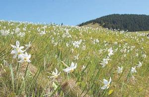 Aria naturala protejata Racas-Hida da sperante de prosperitate