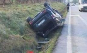 imagine-articol_31393