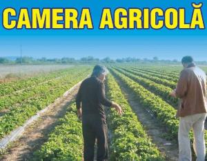 Alegerile pentru Camerele Agricole vor avea loc „imediat dupa 9 decembrie”