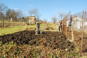 Lucrari agricole in octombrie