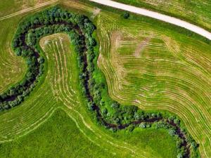 Ministrul Agriculturii: Vom limita cumpărarea de terenuri de către străini, din 2014