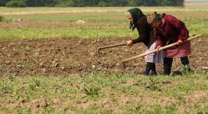 Cei mai multi agricultori sunt in Romania