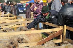 Doua targuri de tara: la Crasna si Sarmasag