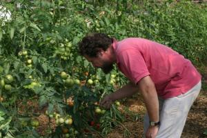 Agricultura ecologica romaneasca face furori peste hotare