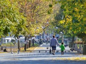 Prognoza meteo pană pe 25 noiembrie