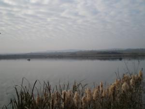 Fostii proprietari cer pamantul,  dar vor Ferma piscicola din Cehu