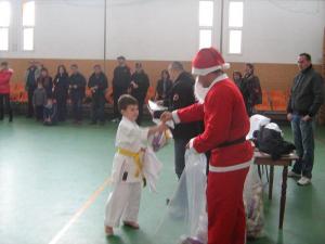 Peste 60 de karateka, premiati de Mos