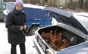 imagine-articol_32692