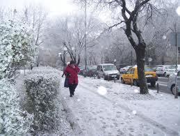 imagine-articol_32706