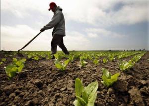 Salajenii dezbat noul impozit in agricultura