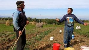 In acest an scad subventiile nationale pentru agricultura