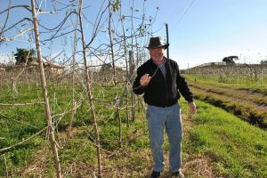 Cum fenteaza legal agricultorii noul impozit al lui Ponta