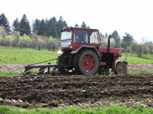 Lucrari agricole la inceput de martie