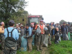 Forta de munca din Salaj a plecat „afara” si fara Schengen