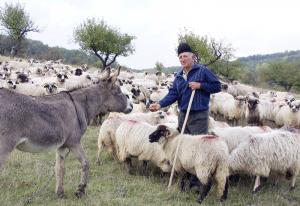 Agricultorii nu se pot baza pe subventii