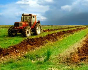 De la cap se strica agricultura