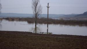 Terenuri agricole inundate la Crasna