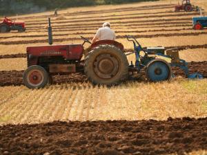 Sanctiuni pentru incalcarea legislatiei europene de catre agricultori